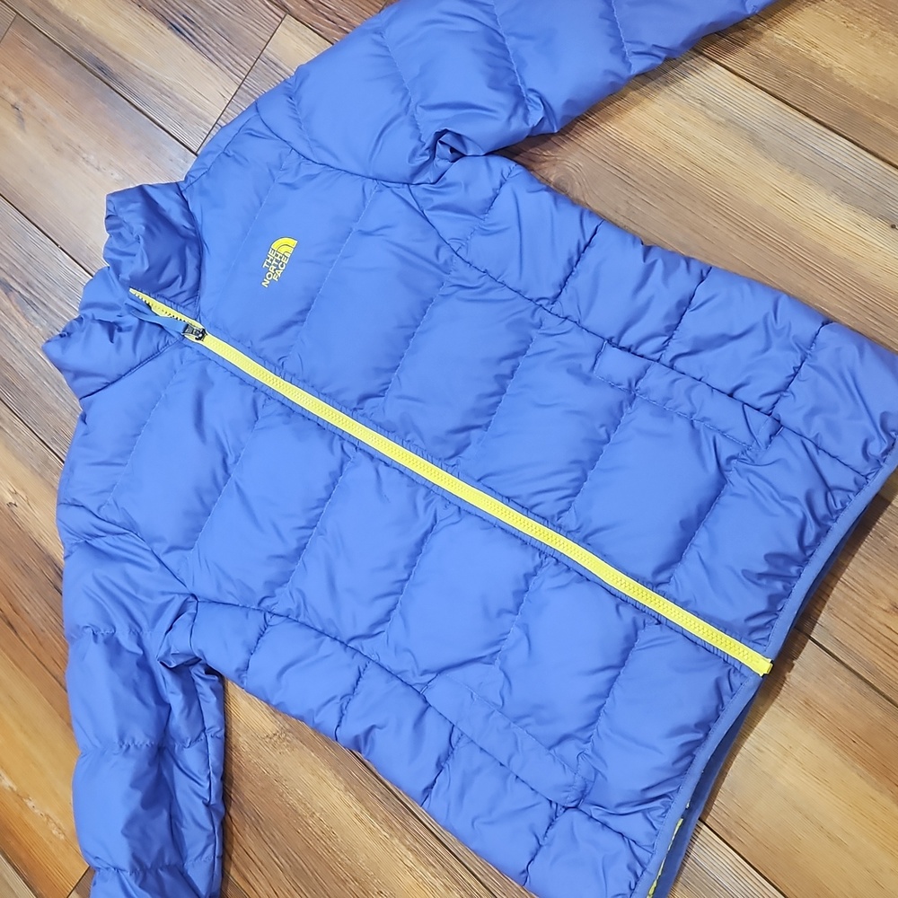 The North Face 550 Fill Down Puffer Jacket Purple